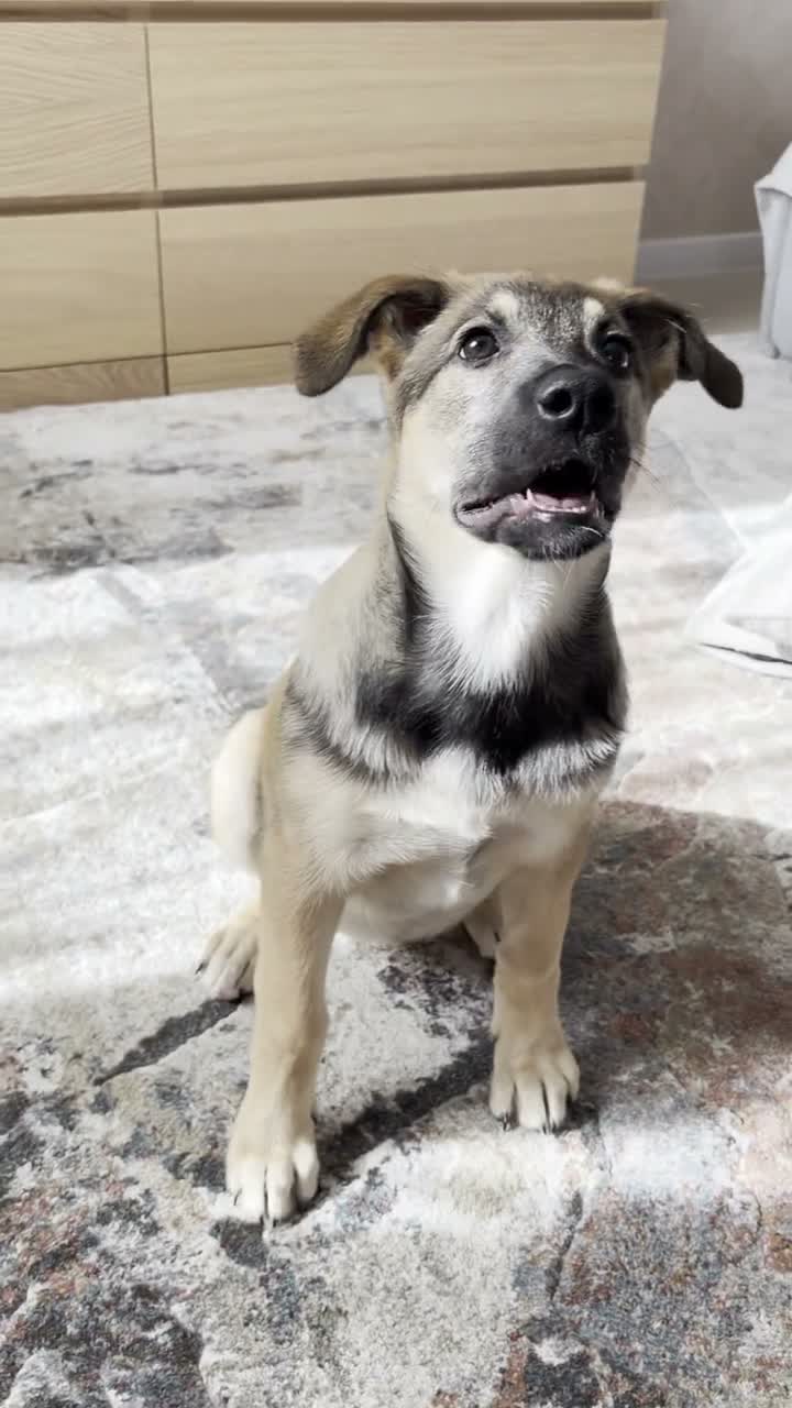 Видео с Джеки